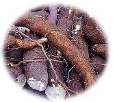 �����������t���״I������